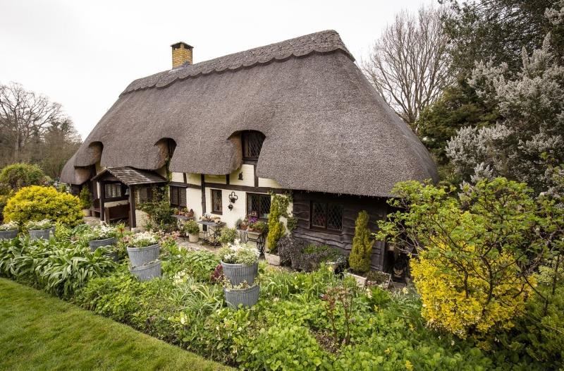 Old Thatch & The Millennium Barn